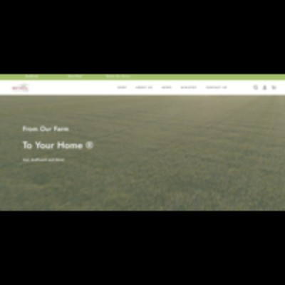 Bethel Farms