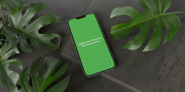 portfolio-client
