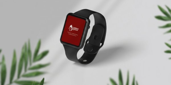 portfolio-client