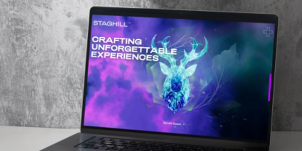 portfolio-client