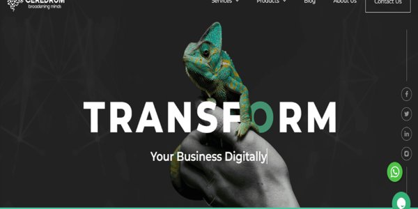 portfolio-client