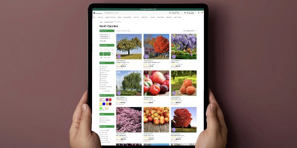 portfolio-client