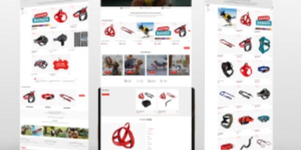 portfolio-client