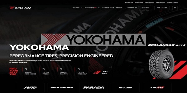 portfolio-client
