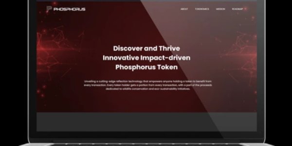 portfolio-client