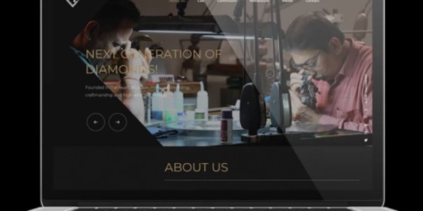 portfolio-client