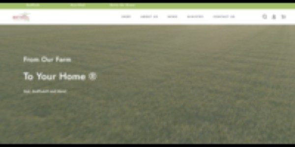 portfolio-client