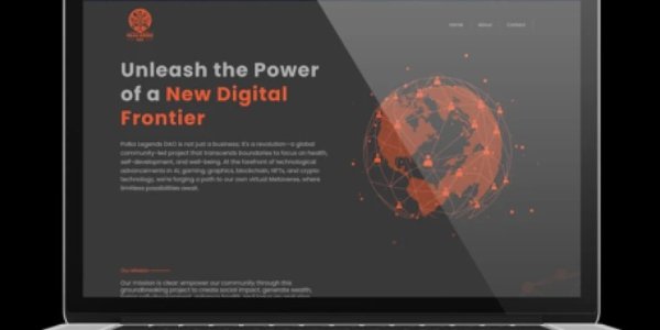 portfolio-client
