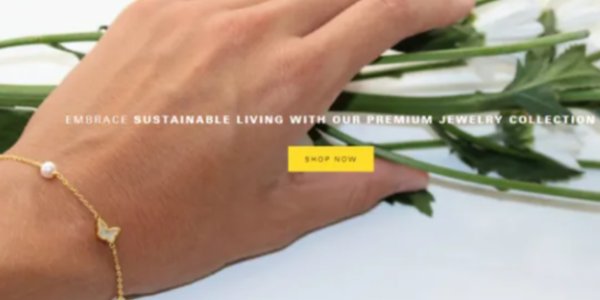 portfolio-client