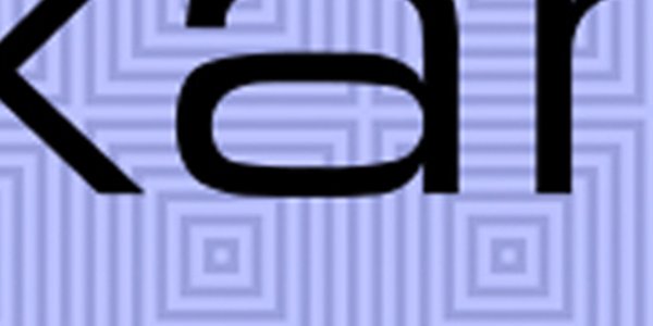 portfolio-client