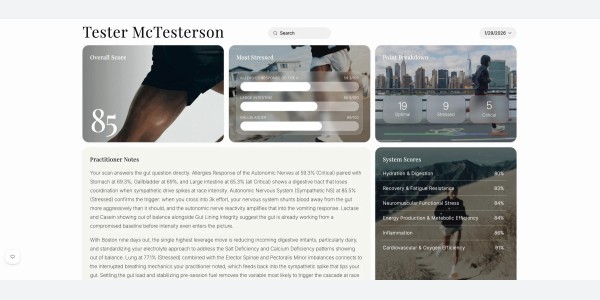 portfolio-client