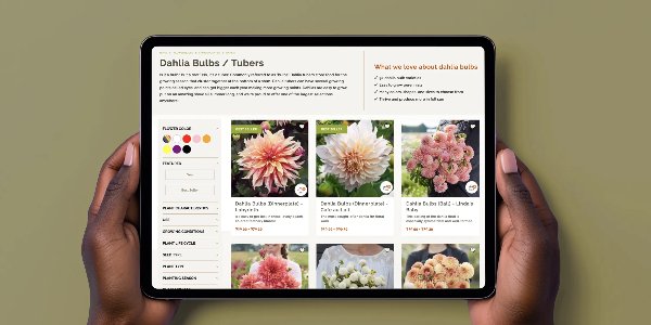portfolio-client