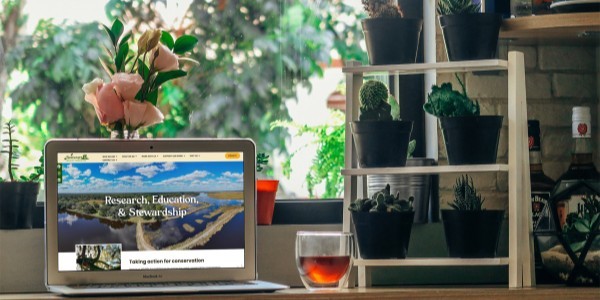 portfolio-client
