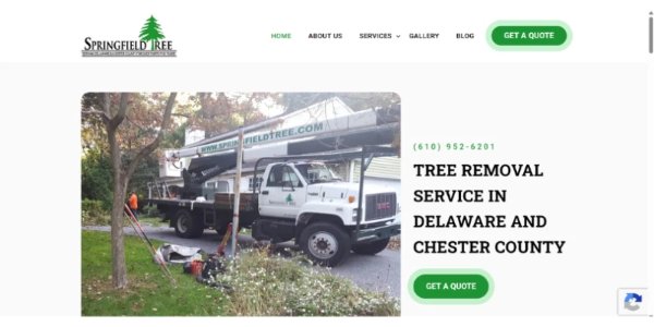 portfolio-client