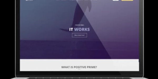 portfolio-client